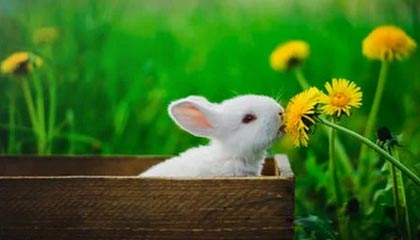 爱游戏体育平台-史上最年轻的“欧冠最佳射手”首次问鼎，欧冠历史最年轻出场球员